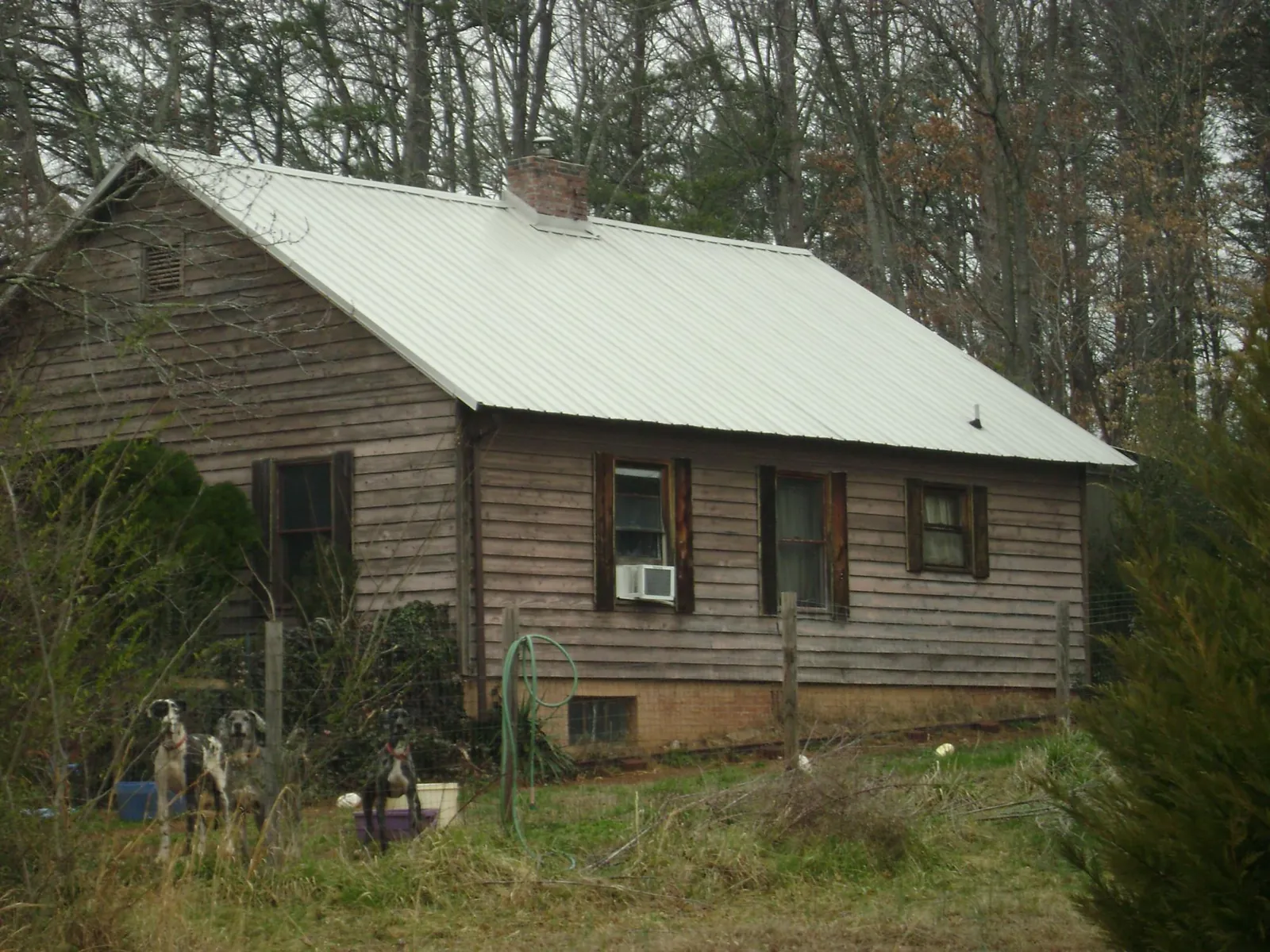 White metal roof on an old wood sided farmhouse, from a Metal Roof Installation job in Ocean Park